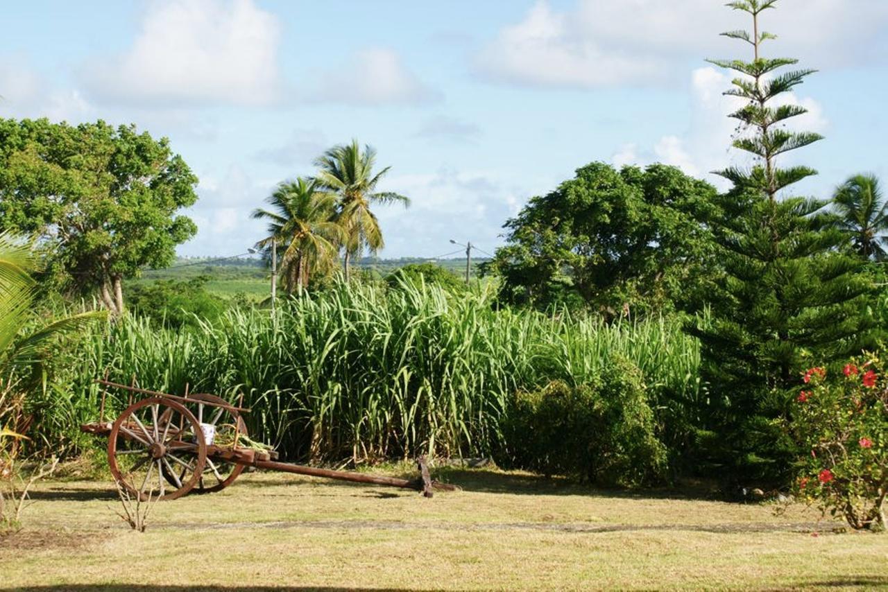 Au Jardin De Beausejour Hotel Capesterre Bagian luar foto