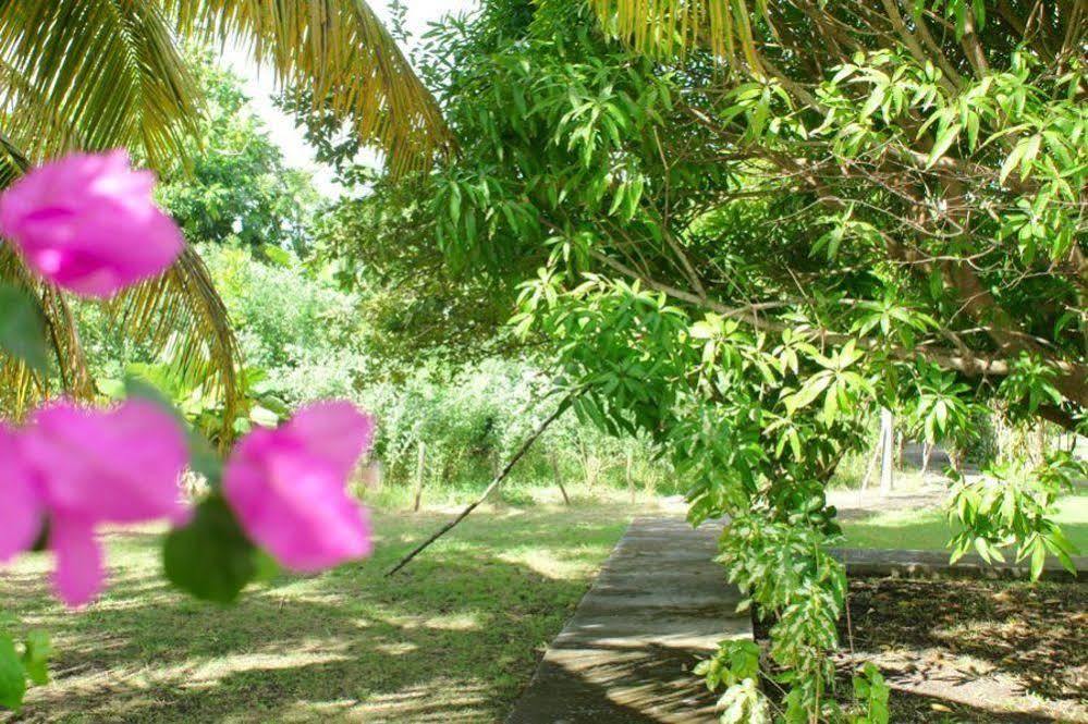 Au Jardin De Beausejour Hotel Capesterre Bagian luar foto